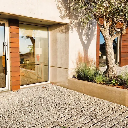 Shell Living - Infinity Loft